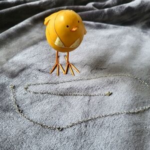 Long Pandora Sterling Silver Necklace